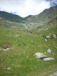 DSCN4951.jpg