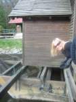 izleti prekmurje08,kras09,prekmurje09 279.jpg
