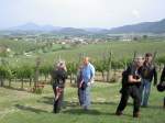 VINOGRADI 011.jpg