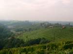 DSC08678.jpg