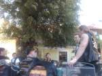 IMG01788-20100605-1429.jpg