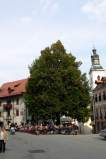 061014 Zaklj 23.jpg
