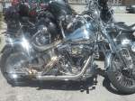 IMG01769-20100605-1250.jpg