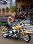 DSC02971.jpg