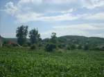DSCN4851.jpg