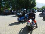 HD GOLVVING IZLET AUGUST 2014 026.jpg