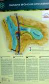 DSC00450.jpg