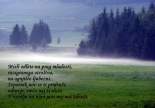 DSCN3803.jpg