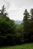 2009DPiknik0587.jpg